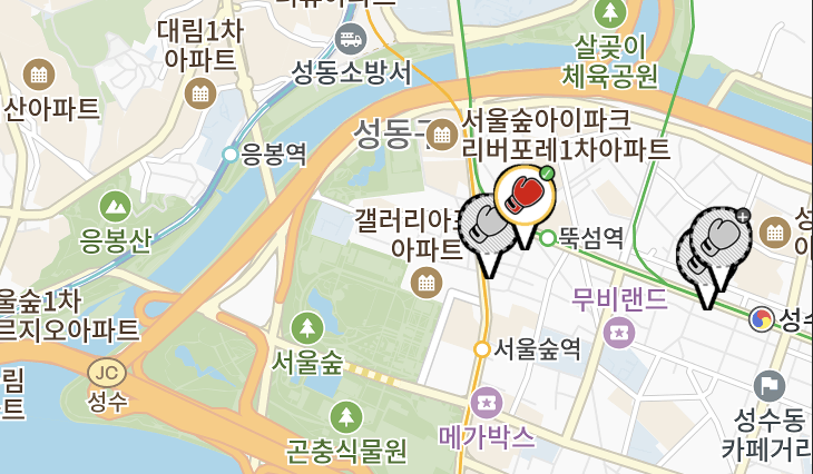 체육관 지도 검색 화면
